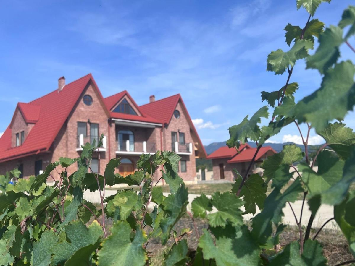Hotel Begaso Family Winery Qwareli Exterior foto