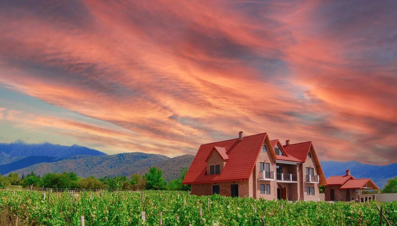 Hotel Begaso Family Winery Qwareli Exterior foto