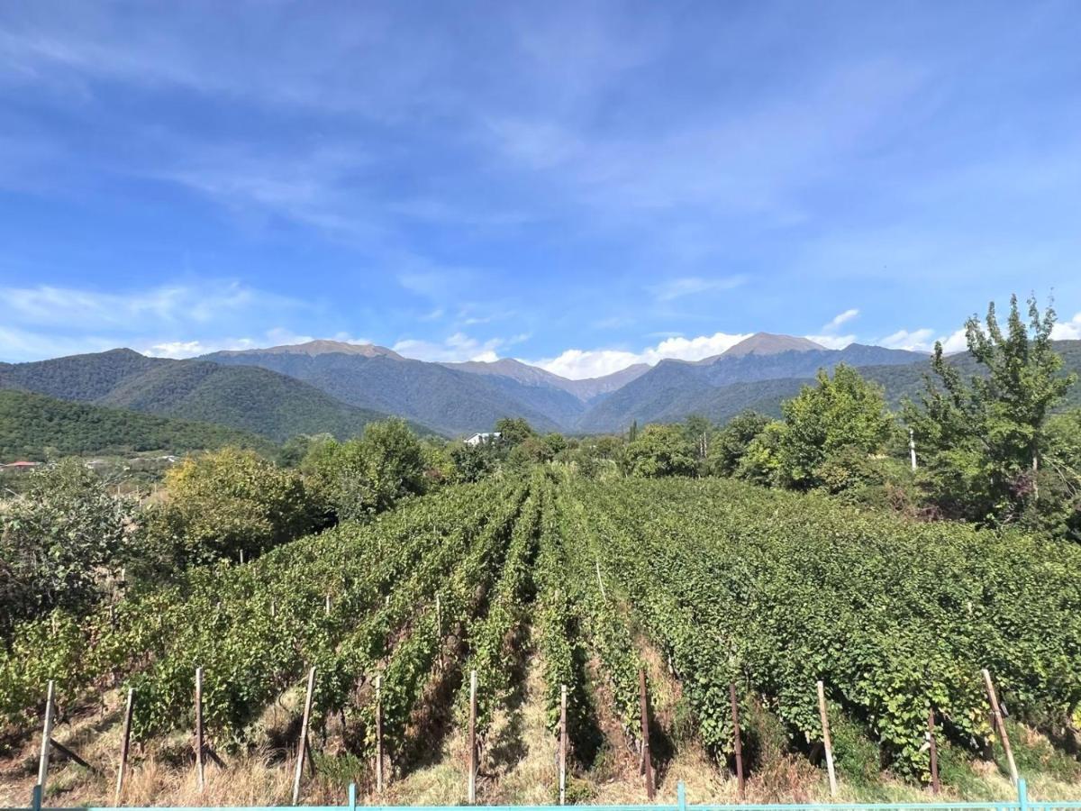 Hotel Begaso Family Winery Qwareli Exterior foto